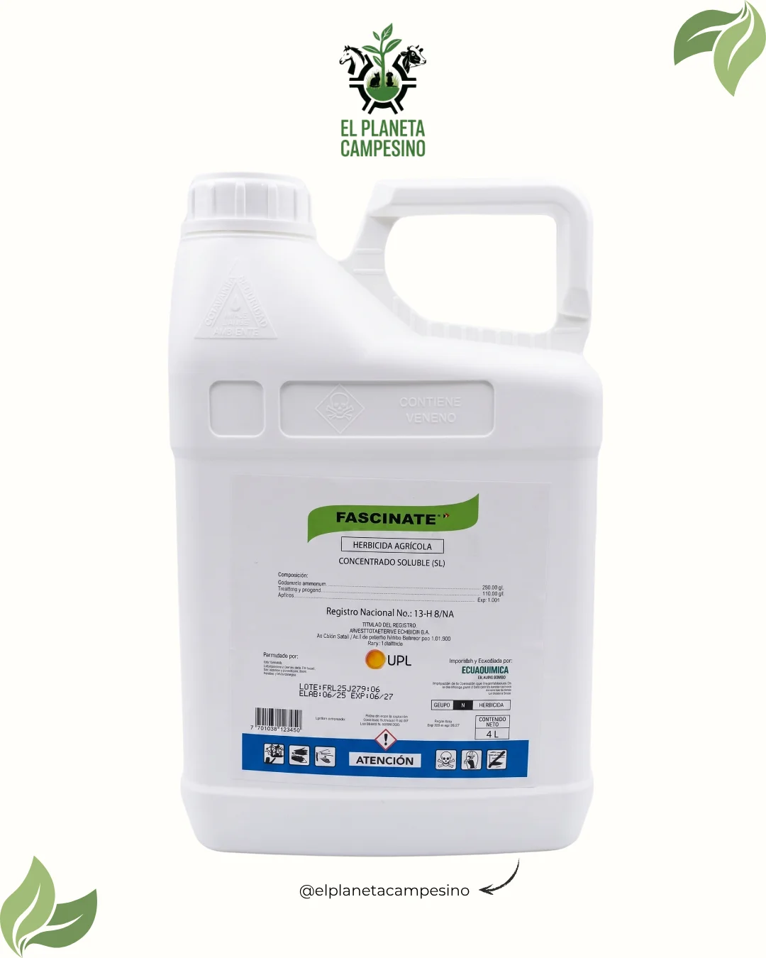 Fascinate (4L)