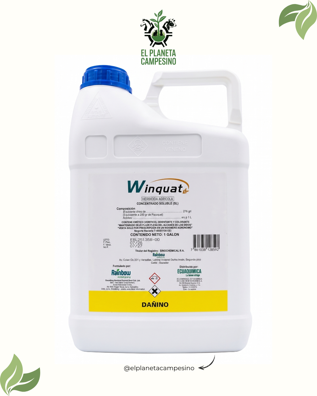 Winquat (1 galón)
